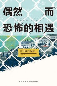 偶然而恐怖的相遇(出书版)